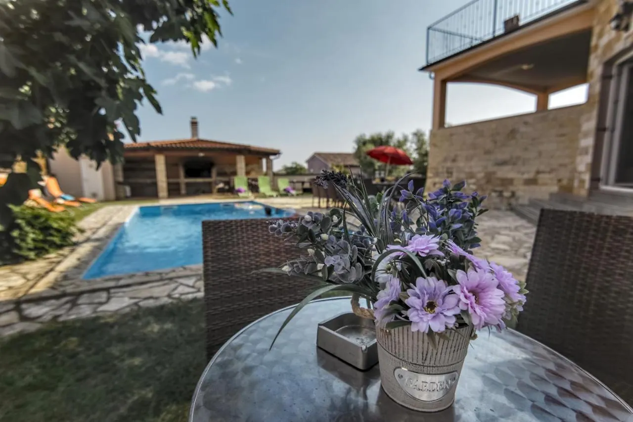 Villa Gracia - Big House, Pool, Bbq, Playground & Table Tennis, Game Room With Billiards & Table Football, Pula, Istria  Pula