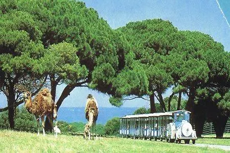 Villa Gracia - Big House, Pool, Bbq, Playground & Table Tennis, Game Room With Billiards & Table Football, Pula, Istria  Pula
